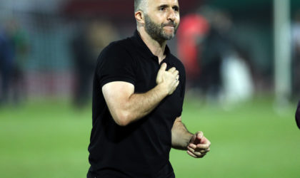 Zetchi : «Belmadi semble être le profil le plus adéquat»