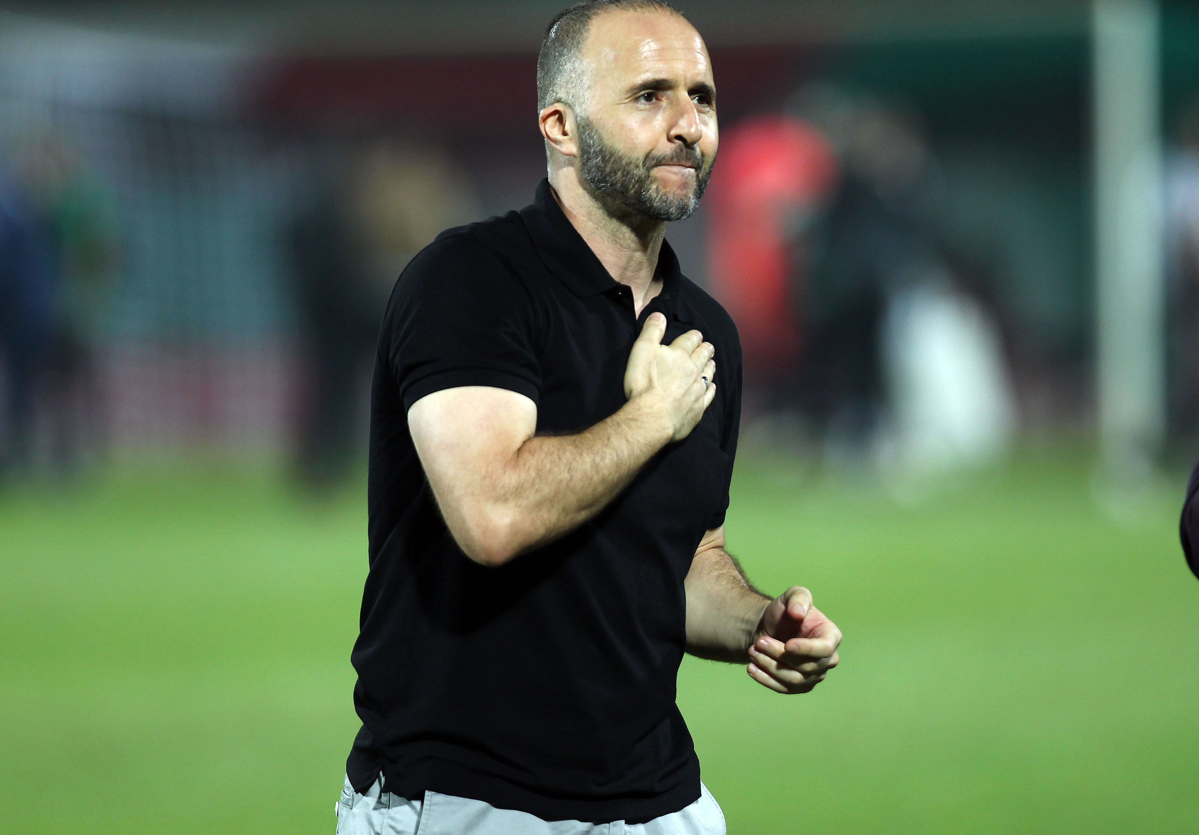 Belmadi