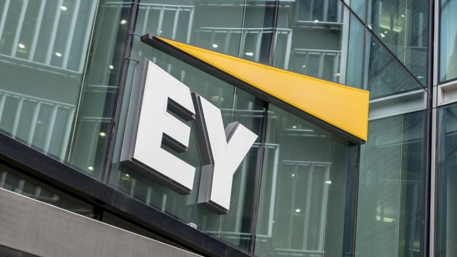 Ernst&Young, Audit