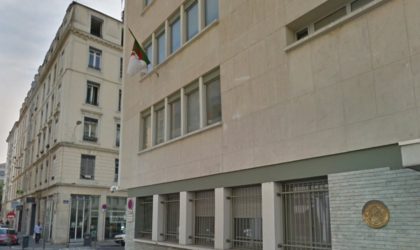 Rencontre le 31 janvier à Lyon dédiée aux entreprises algériennes
