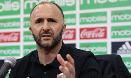 Belmadi : «Jouer deux matchs avant la CAN est une chose excellente»