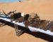 Une cache de munitions découverte à Tamanrasset