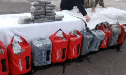 Plus de 300 kg de cocaïne saisis au large de Skikda : une affaire Chikhi bis ?