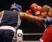 Championnat arabe de boxe : sept médailles dont 3 en or pour l’Algérie