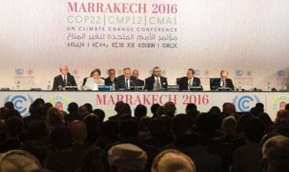 Une association risque la dissolution pour avoir participé à la COP22