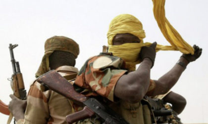 Niger : reddition d’une centaine d’hommes armés dans le Nord