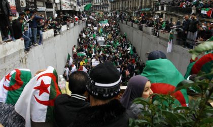 Marée humaine pour le cinquième vendredi de manifestation à Alger