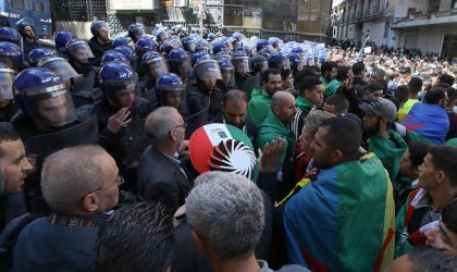 Manipulations autour de l’emblème amazigh : qui veut diviser le hirak ?