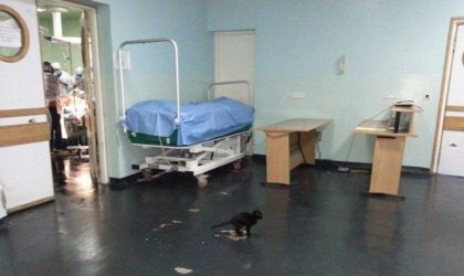 Annaba : un hôpital quasiment vidé de son personnel