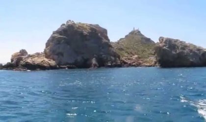 L’association écologique marine Barbarous nous écrit