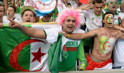 Le public algérien en Egypte efface la mauvaise image de «trouble-fête»