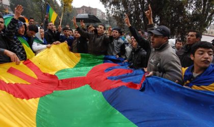 Interdiction de l’emblème amazigh par Gaïd-Salah : dérapage ou diversion ?