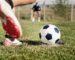 Ligues 1 et 2 Mobilis 2019-2020 : les clubs endettés interdits de recrutement