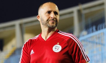 Djamel Belmadi : «Plus que satisfait, je suis très content !»