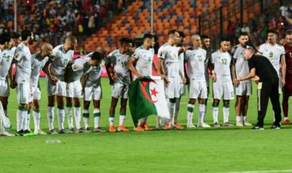 Football : des arbitres autrichiens pour le match Algérie-Nigeria