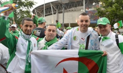 Air Algérie mobilise 7 avions pour rapatrier les supporters d’Egypte