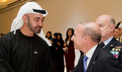 Du rôle des Emirats dans la crise algérienne