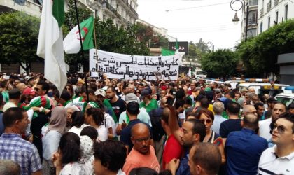 Injonctions ou pas : tsunami humain à Alger pour ce 31e vendredi