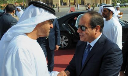 Des moucherons émiratis et égyptiens à la rescousse du pouvoir en Algérie ?