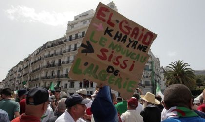 Le Hirak algérien s’exporte en Egypte : manifestations contre Sissi vendredi