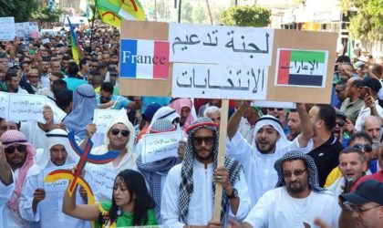 Des manifestants se déguisent en Emiratis : un message clair à Gaïd-Salah