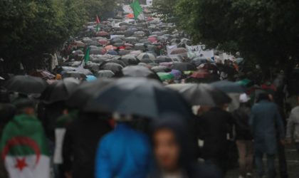 39e marche pour le changement : un déluge humain sous une pluie diluvienne