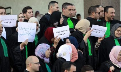 Des magistrats agressés par les gendarmes à l’intérieur du tribunal d’Oran