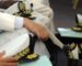 Le chef de l’Etat opère un mouvement partiel dans le corps des walis et walis délégués