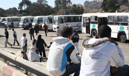 Arrêt d’activités à cause du Covid-19 : les transporteurs de Béjaïa protestent