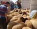 Scènes surréalistes de vol de moutons à Casablanca : le Maroc va à la dérive