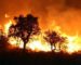 Les incendies de forêt commandités de l’étranger : la piste marocaine se précise