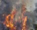 Incendies de forêts : dernier délai pour l’indemnisation des agriculteurs le 15 décembre prochain