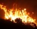 Mystérieux feux de forêts simultanés dans le pays : négligence ou sabotage ?