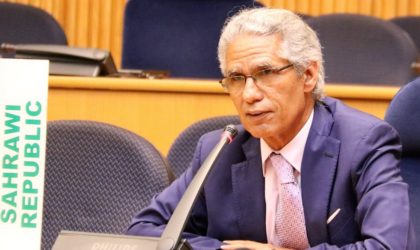 Conflit Maroc-RASD : Mohamed Salem Ould Salek interpelle l’ONU et l’UA