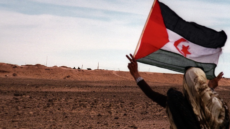 L’Allemagne est catégorique : le Sahara Occidental a droit à son indépendance