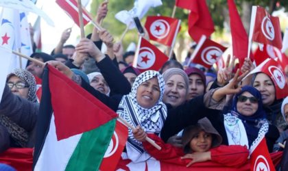 Ce qu’a dit Bensaada sur le rôle des ONG dans les révolutions arabes