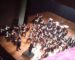 La nouvelle liste des effectifs symphoniques de l’Opéra d’Alger dévoilée