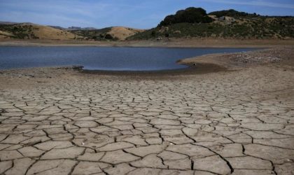 Chaleur record, sécheresse en Algérie et ailleurs : c’est une question de survie !
