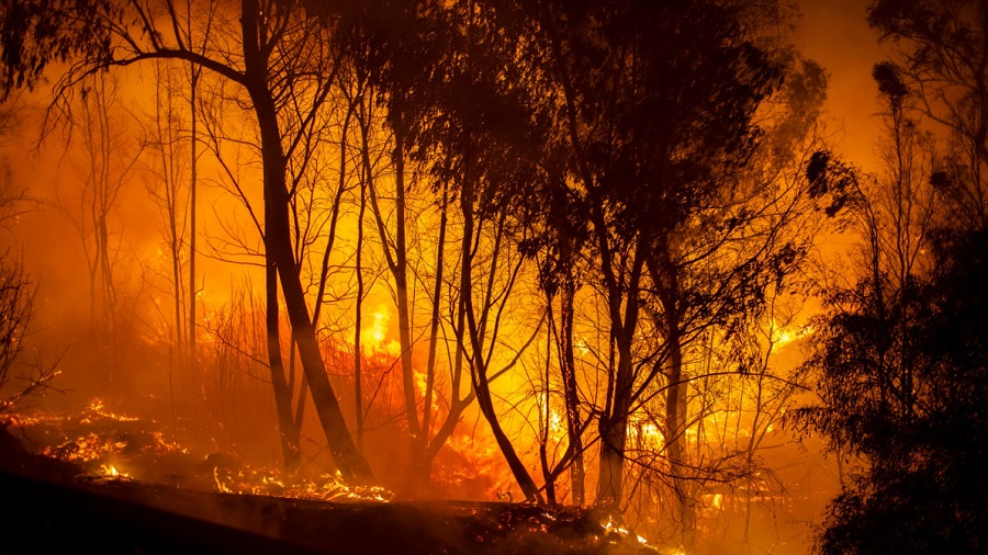 TO incendies de forêts