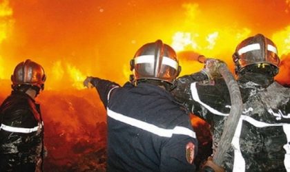 Feux de forêts : le bilan s’alourdit à 65 morts