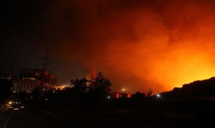 Les incendies simultanés en Kabylie : qui doute encore de la main criminelle ?