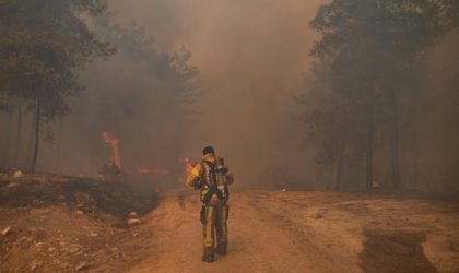 Incendies ravageurs : le jour se transforme en nuit en Turquie