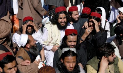 Taliban : 9% de la population afghane addict à la drogue