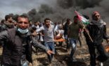 Palestine et Congo : même combat contre le colonialisme collectif