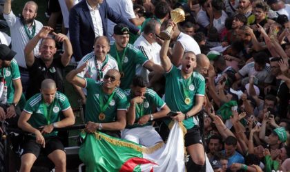 Sport en Afrique du Nord : les clubs de football les plus célèbres du Maghreb