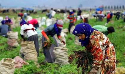 Oxfam alerte sur les inégalités sur le marché du travail au Maroc