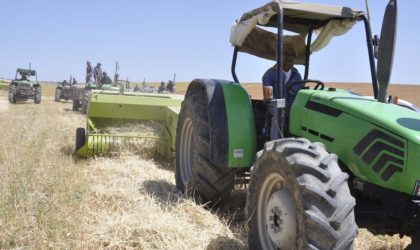 L’Algérie mise sur le renforcement de la coopération avec la Turquie dans le domaine agricole