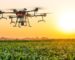 Agriculture : des drones pour évaluer avec précision les capacités agricoles nationales