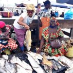 poisson Sénégal