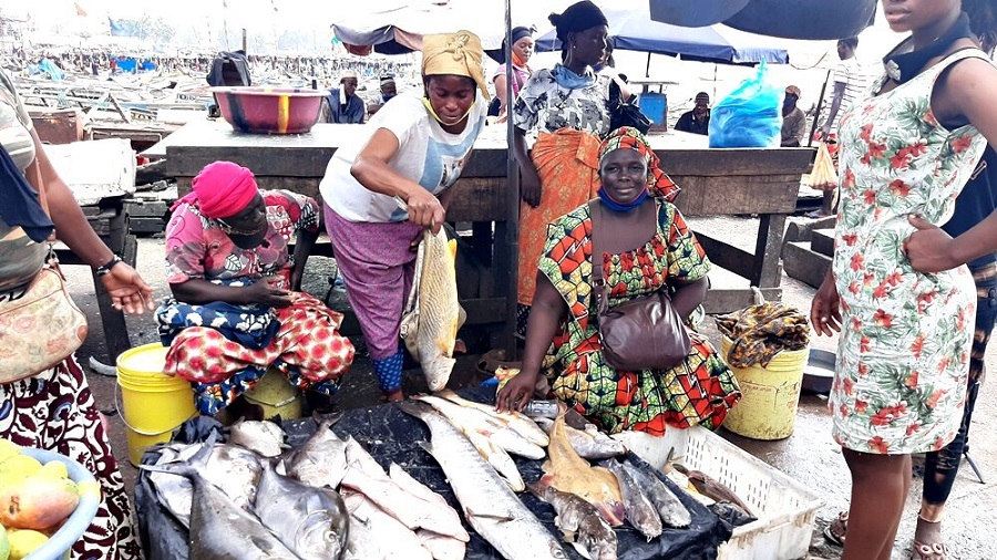 Le poisson détourné du Sénégal